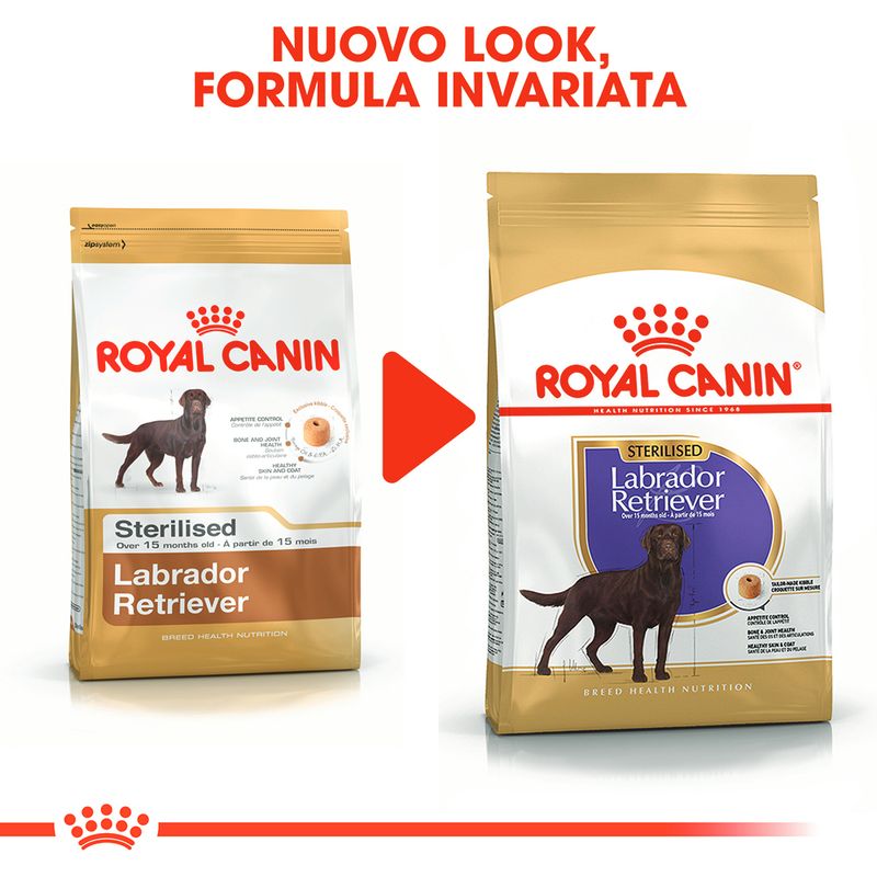 Zooplus Royal Canin Sterilised Labrador Retriever Adult Crocchette per cane Only for today
