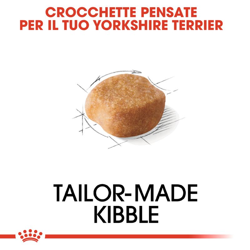 Zooplus Royal Canin Yorkshire Terrier Adult Crocchette per cane Offerta speciale della fabbrica