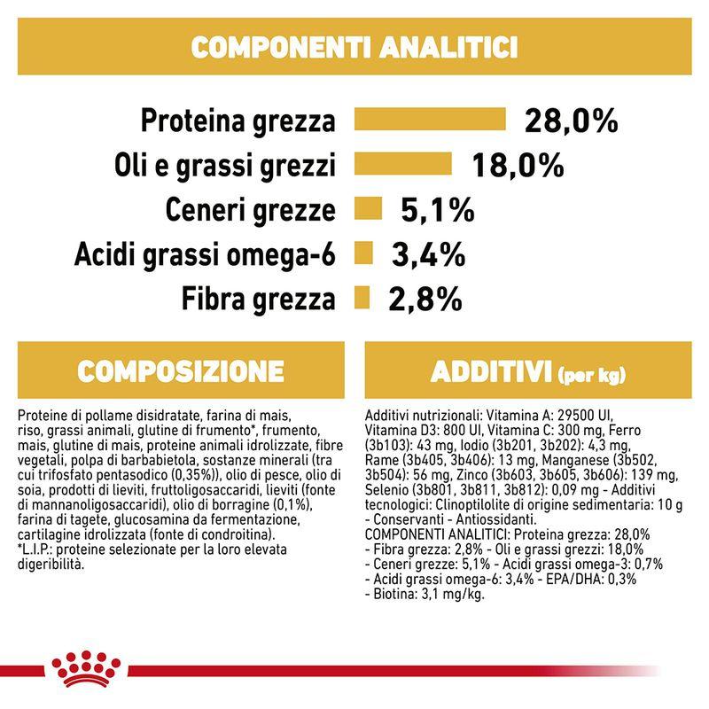 Zooplus Royal Canin Yorkshire Terrier Adult Crocchette per cane Offerta speciale della fabbrica