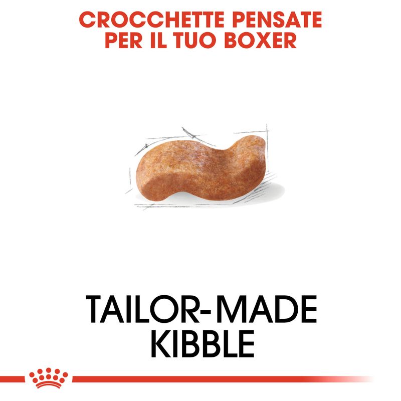 Zooplus Royal Canin Boxer Adult Crocchette per cane Sostegno trimestrale