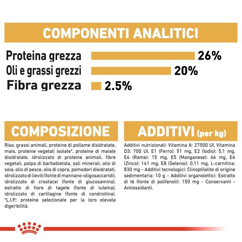 Zooplus Royal Canin Boxer Adult Crocchette per cane Sostegno trimestrale