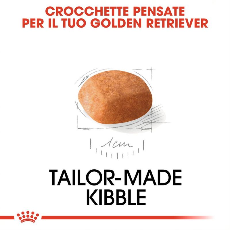 Zooplus Royal Canin Golden Retriever Puppy Crocchette per cane Discount Store per i nuovi prodotti