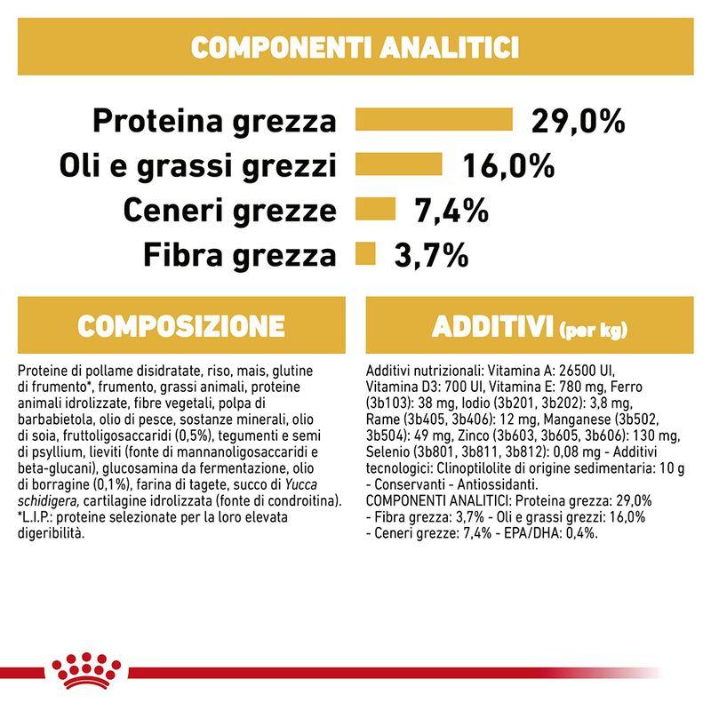 Zooplus Royal Canin Golden Retriever Puppy Crocchette per cane Discount Store per i nuovi prodotti