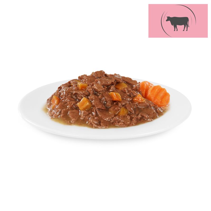 Zooplus Briantos in buste 4 x 100 g Pacco misto Umido per cane Super sconto