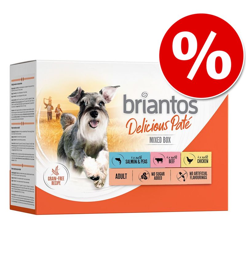 Zooplus Briantos Delicious Paté 48 x 100 g Umido per cane