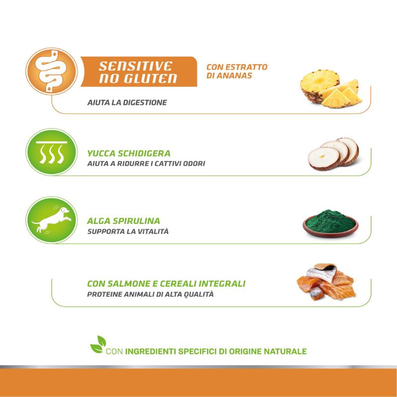 Zooplus Natural Trainer Sensitive No Gluten Adult Small Monoproteico con Salmone Novità