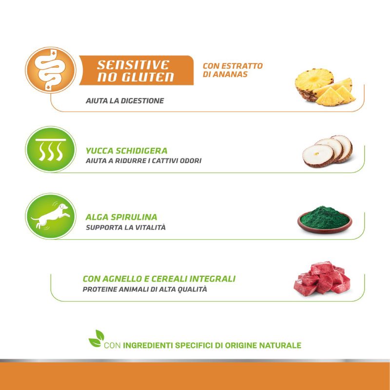 Zooplus Natural Trainer Sensitive No Gluten Adult Small Monoproteico con Agnello Presa