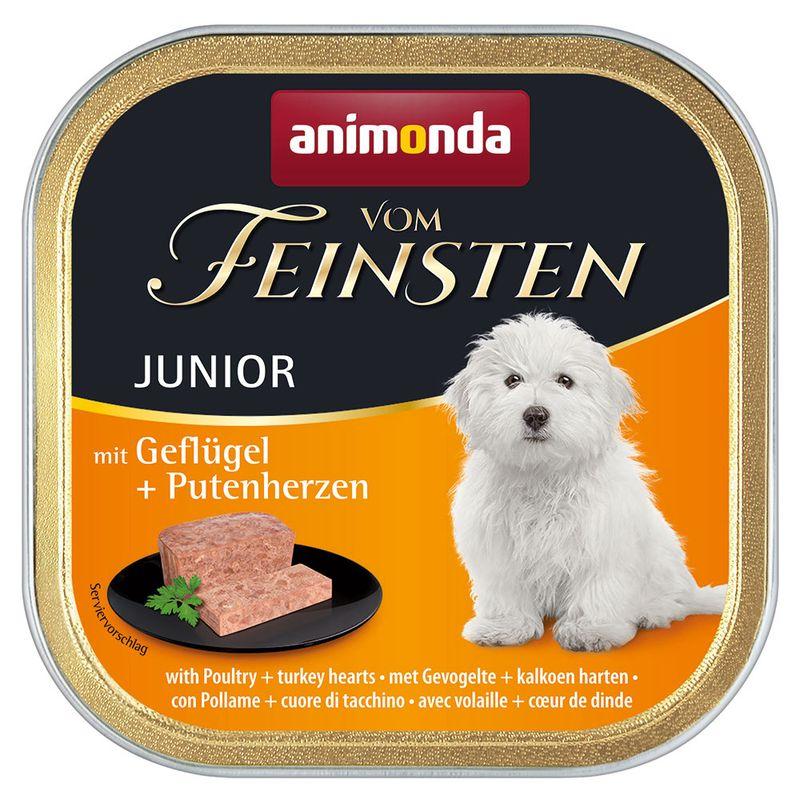 Zooplus animonda Vom Feinsten Junior Senza Cereali 6 x 150 g umido per cani 2025