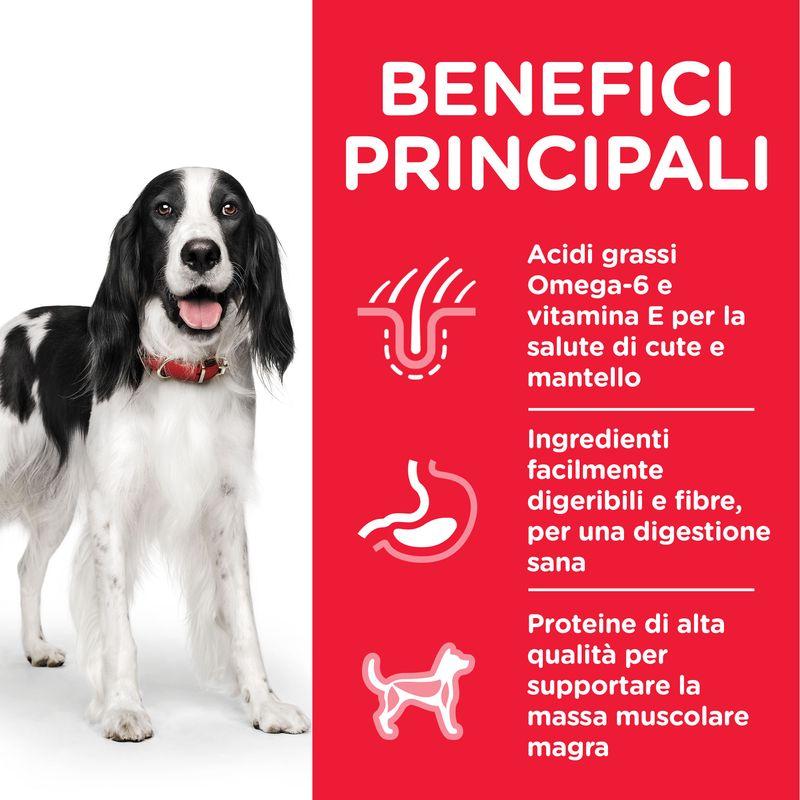 Zooplus Hill's Science Plan Adult umido per cane Promozione Limitata