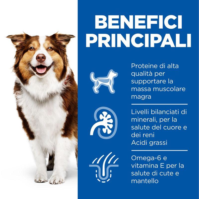 Zooplus Hill's Science Plan Mature Adult 7+ Fino Al -60%