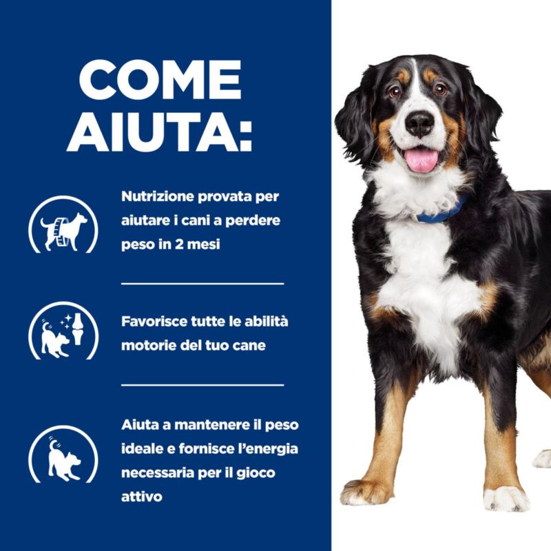 Zooplus Hill's Prescription Diet Metabolic + Mobility Patè umido per cane Offerte