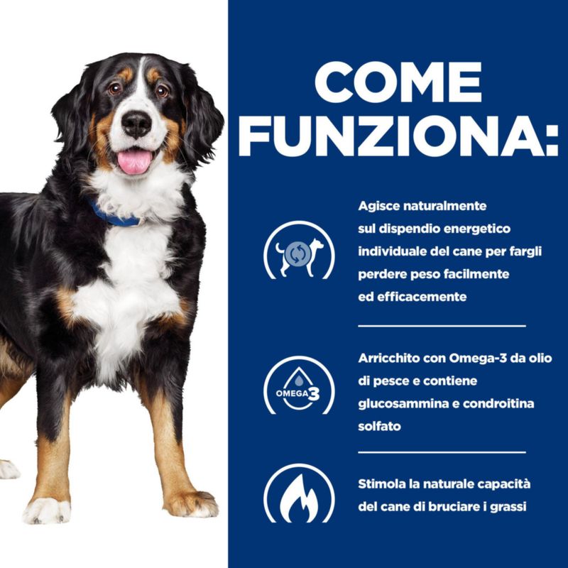 Zooplus Hill's Prescription Diet Metabolic + Mobility Patè umido per cane Offerte