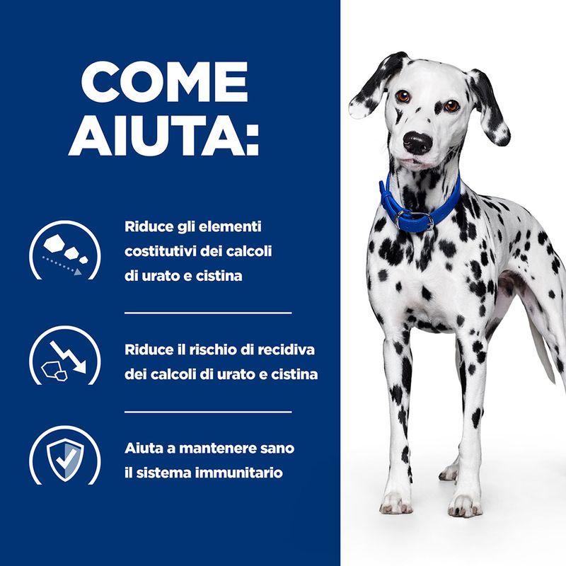 Zooplus Hill's Prescription Diet u/d Urinary Care umido per cani Vendita Economica
