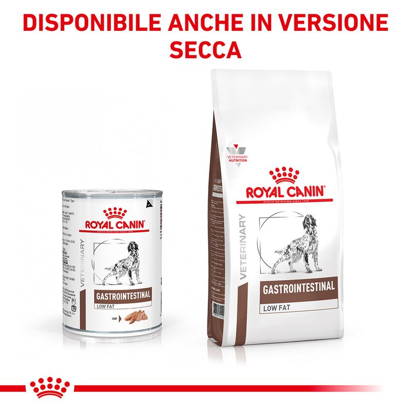 Zooplus Royal Canin Gastrointestinal Low Fat Veterinary Patè umido per cane Grande vendita