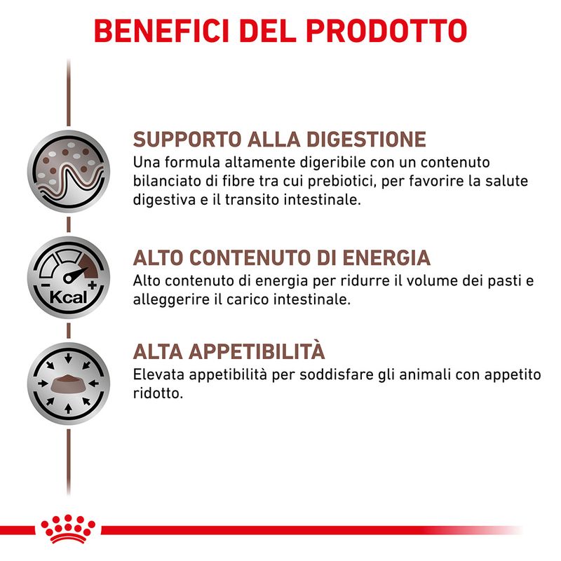 Zooplus Royal Canin Canine Gastrointestinal Veterinary Patè umido per cane Flash Sale