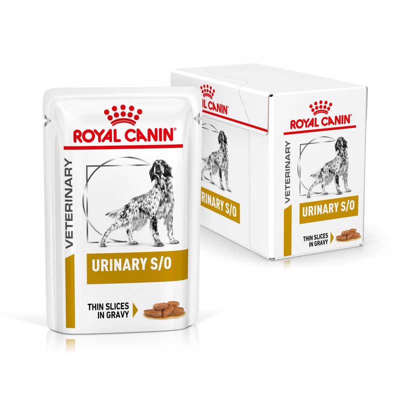 Zooplus Royal Canin Urinary S/O Canine Veterinary umido in salsa per cane Fornitura limitata