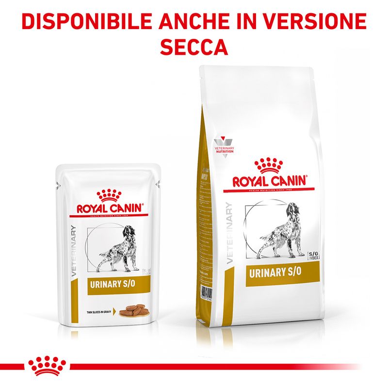 Zooplus Royal Canin Urinary S/O Canine Veterinary umido in salsa per cane Fornitura limitata
