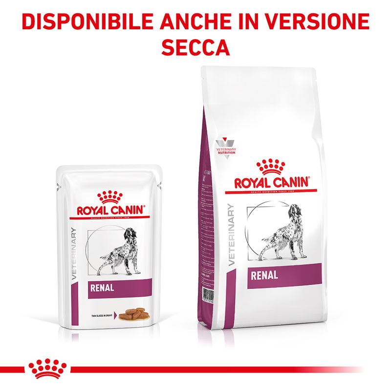 Zooplus Royal Canin Veterinary Canine Renal in Salsa umido per cane Shopping online