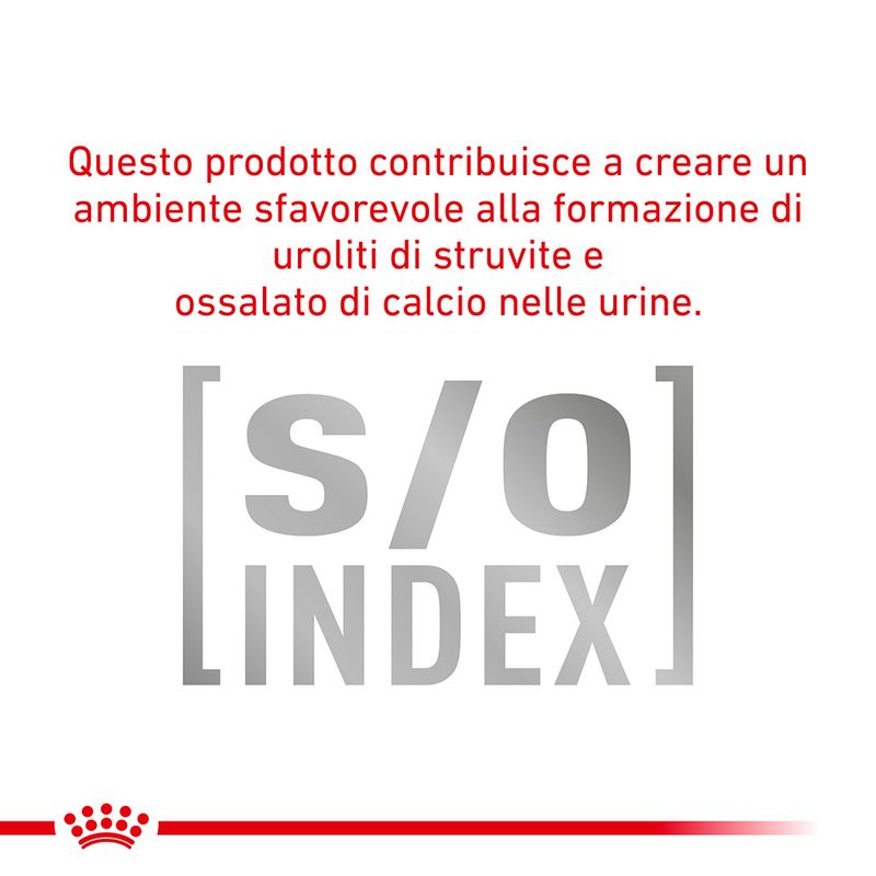 Zooplus Royal Canin Canine Satiety Weight Management Veterinary Umido in Mousse per cane Vendite stagionali