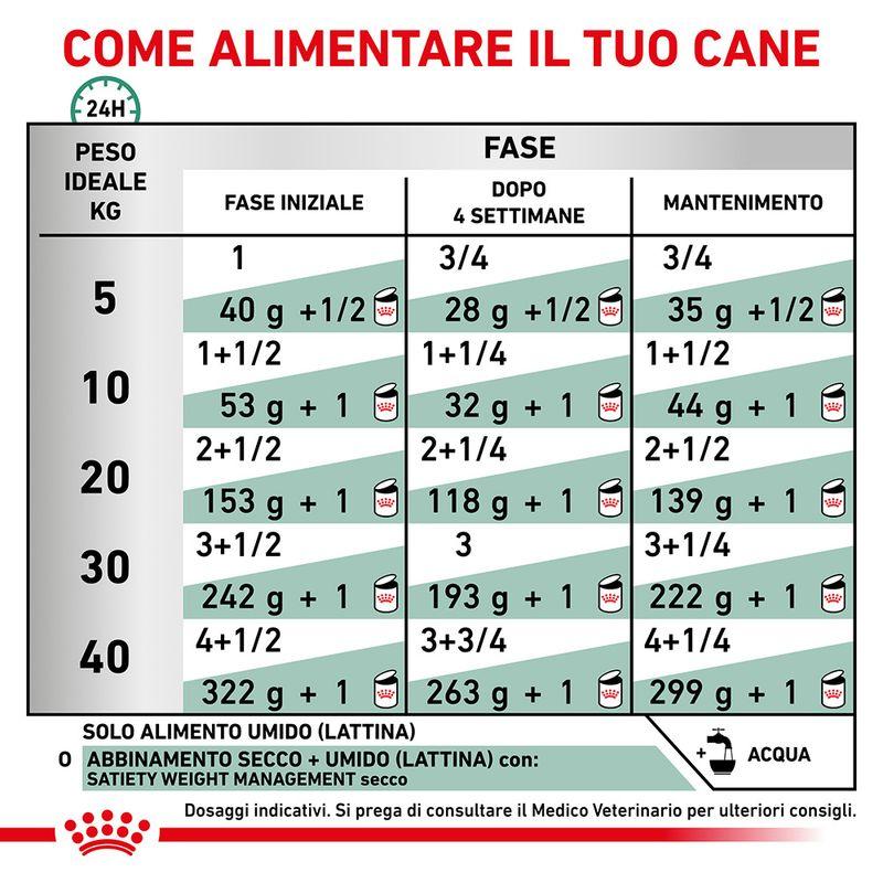 Zooplus Royal Canin Canine Satiety Weight Management Veterinary Umido in Mousse per cane Vendite stagionali