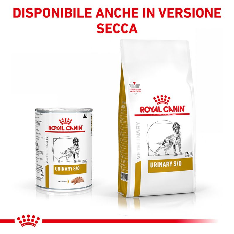 Zooplus Royal Canin Urinary S/O Canine Veterinary Mousse umido per cane Black Friday