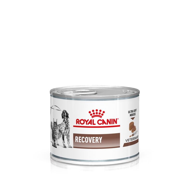 Zooplus Royal Canin Recovery Veterinary Mousse cane e gatto