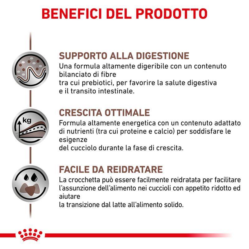 Zooplus Royal Canin Puppy Gastrointestinal Canine Veterinary Ultra Soft Mousse Offerta natalizia