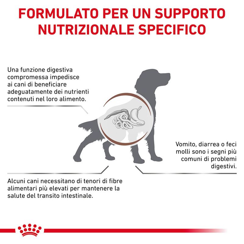 Zooplus Royal Canin Gastrointestinal High Fibre Veterinary Canine Mousse per cane Offerta Anniversario