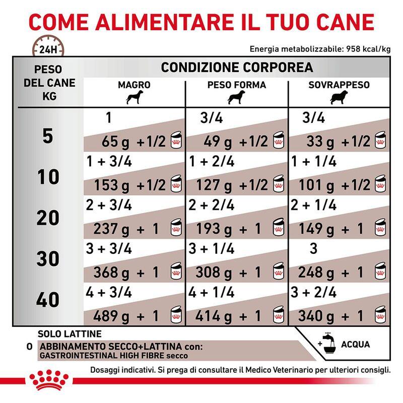Zooplus Royal Canin Gastrointestinal High Fibre Veterinary Canine Mousse per cane Offerta Anniversario