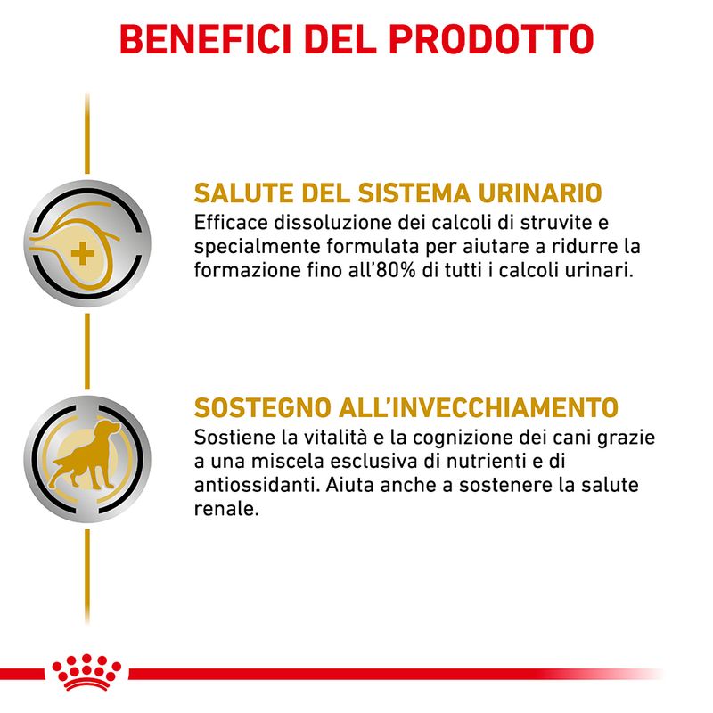Zooplus Royal Canin Urinary S/O Ageing 7+ Veterinary Patè umido per cane Smaltimento dello stoccaggio