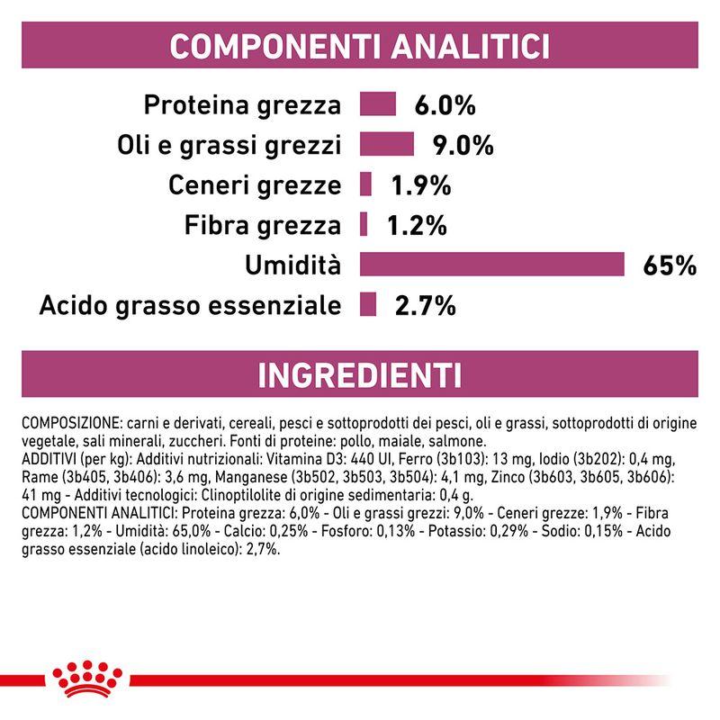 Zooplus Royal Canin Renal Special Canine Veterinary Mousse umido per cane Vendita calda