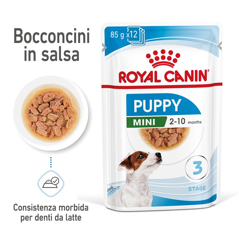 Zooplus Royal Canin Mini Puppy umido in salsa per cane