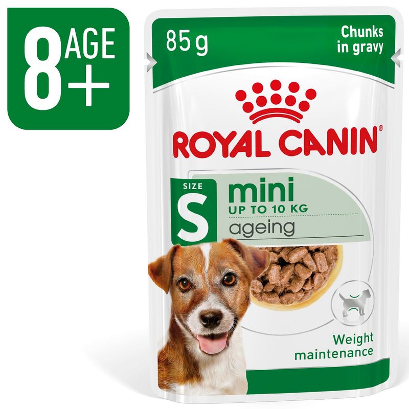 Zooplus Royal Canin Mini Ageing umido in salsa per cane