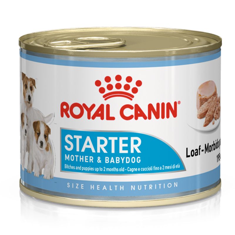 Zooplus Royal Canin Starter Mousse Mother & Babydog umido per cane Vendita