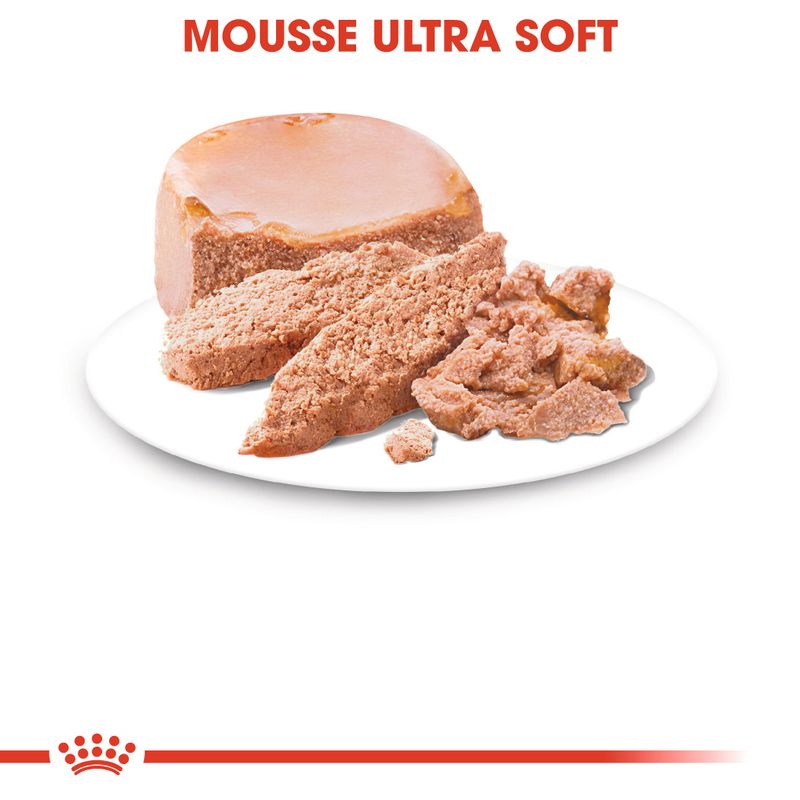 Zooplus Royal Canin Starter Mousse Mother & Babydog umido per cane Vendita