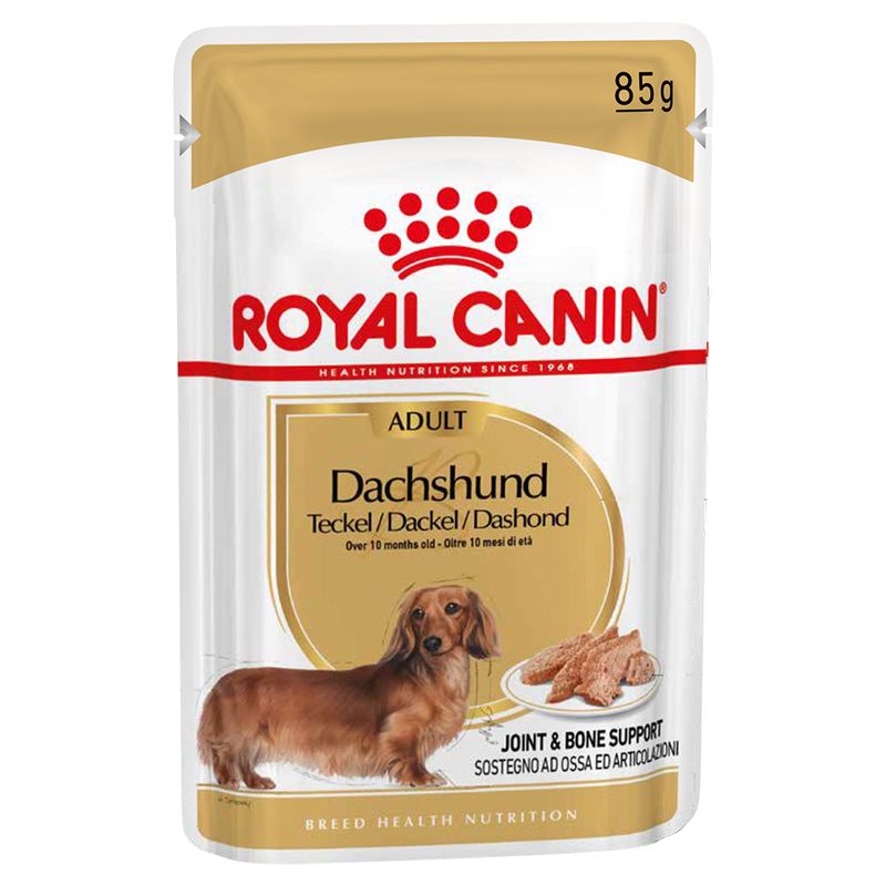 Zooplus Royal Canin Bassotto (Dachshund) Adult Patè umido per cane Pezzi Unici