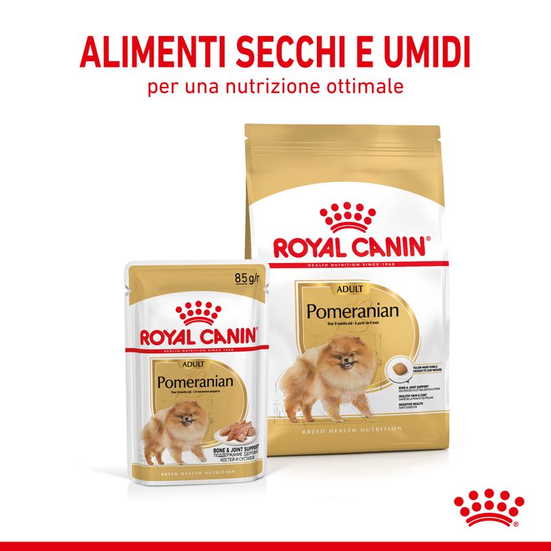 Zooplus Royal Canin Vopino di Pomerania (Pomeranian) Adult Patè umido per cane Qualità Garantita