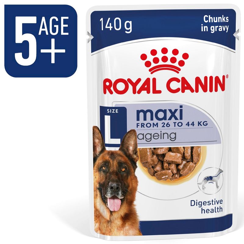 Zooplus Royal Canin Maxi Ageing umido in salsa per cane