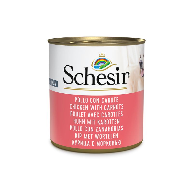 Zooplus Schesir 12 x 285 g Alimento umido per cani Moda