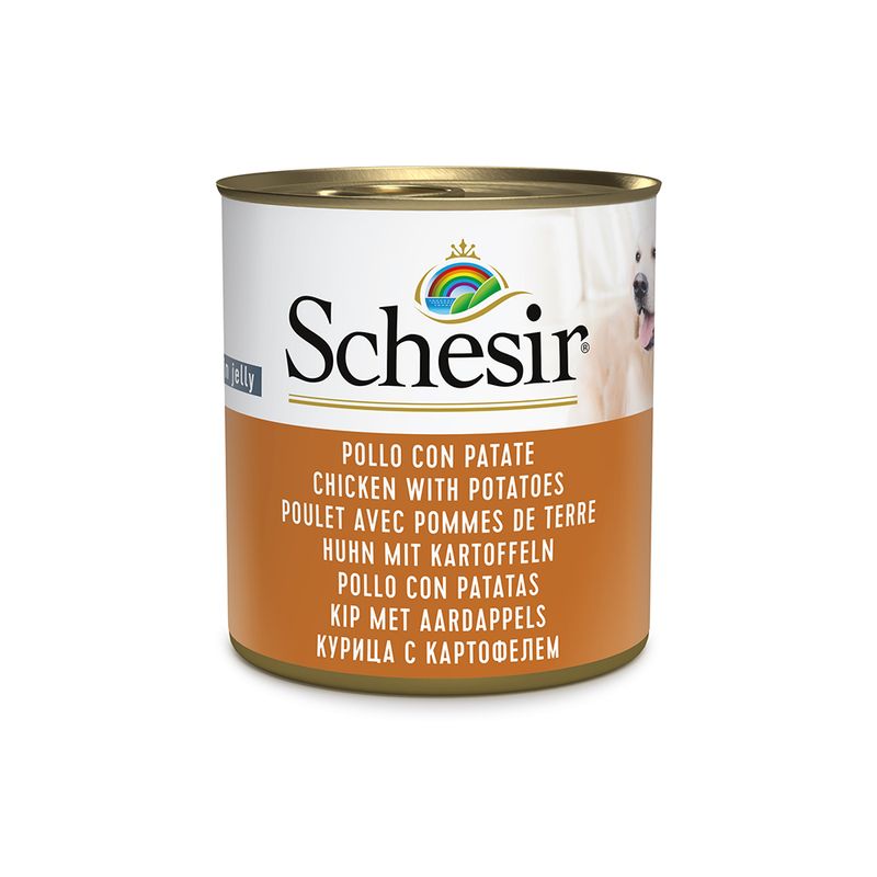 Zooplus Schesir 12 x 285 g Alimento umido per cani Moda