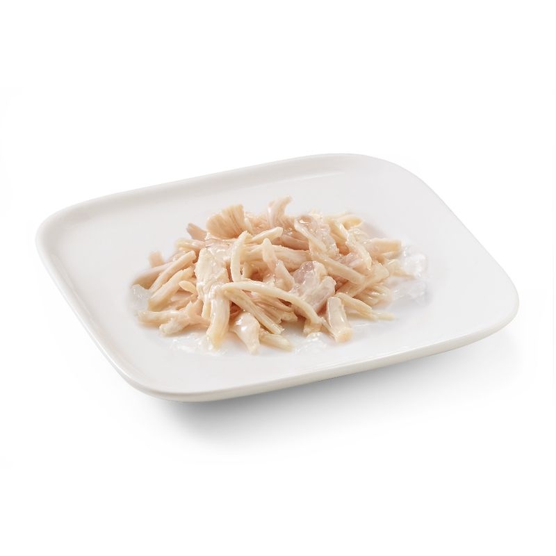 Zooplus Schesir 12 x 150 g Alimento umido per cani Spedizione gratuita