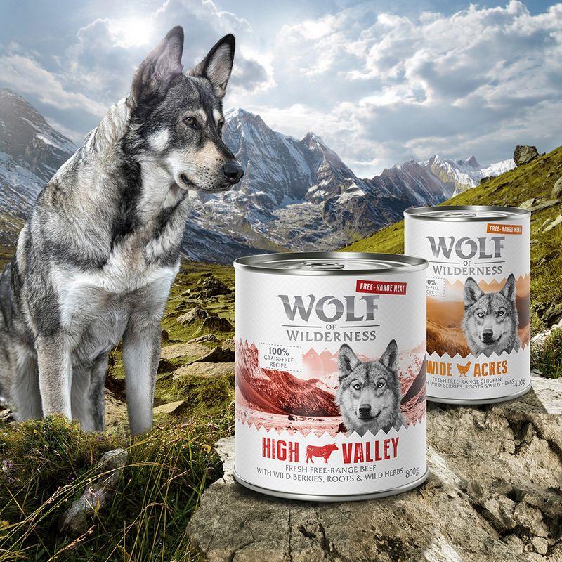 Zooplus Wolf of Wilderness "Carne allevata all'aperto" 6 x 400 g Umido per cani Sconto di tempo limitato