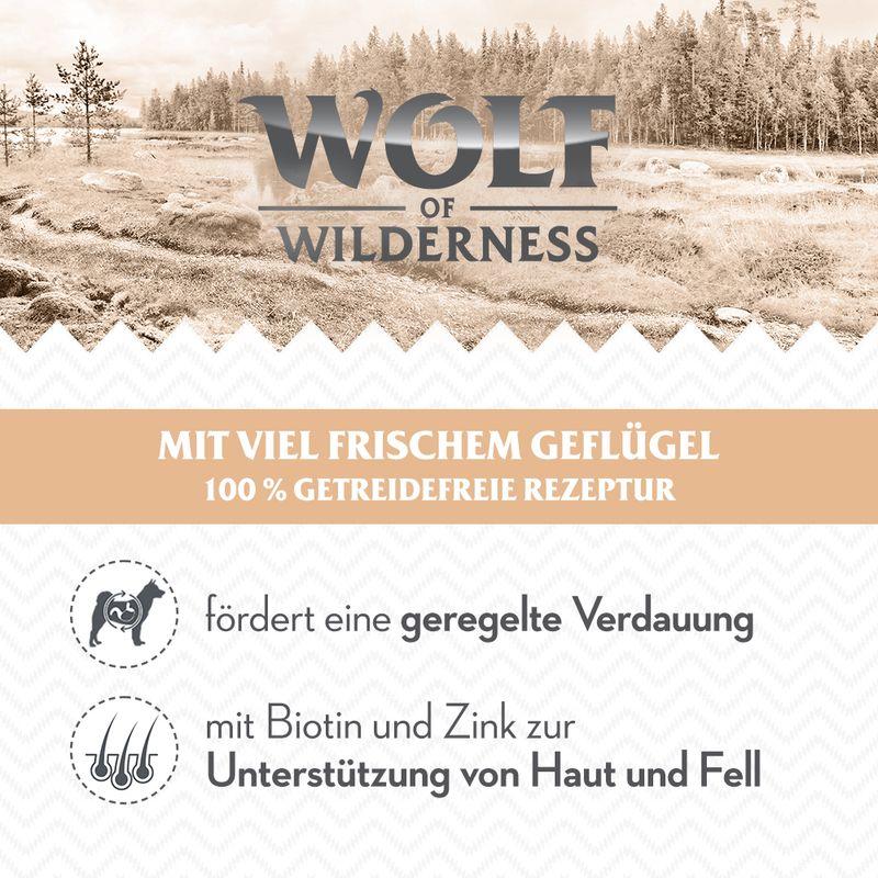 Zooplus Wolf of Wilderness Senior 1 x 400 g Offerta esclusiva