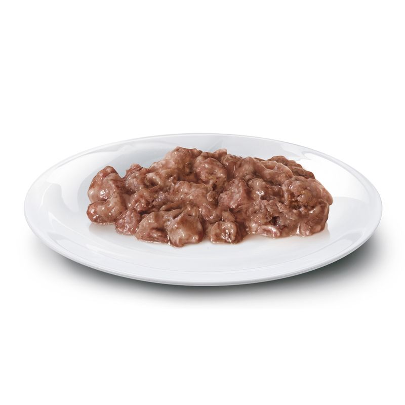 Zooplus Concept for Life Maine Coon Adult (a base di pregiato ragù) Offerte