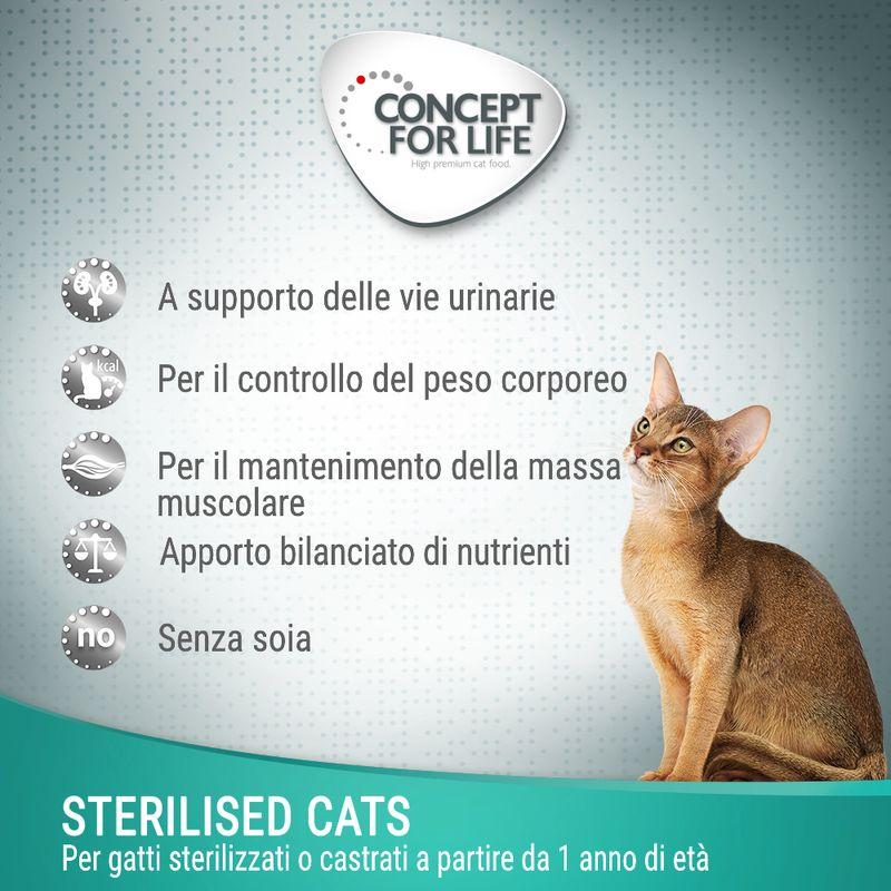 Zooplus in gelatina Saldi Di Fabbrica