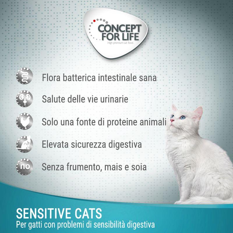 Zooplus in gelatina I Più Venduti