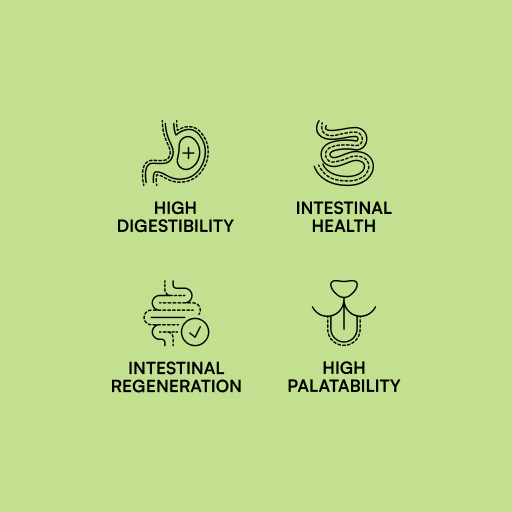 Miscota Hantu Specific Diet Gastrointestinal Online Outlet