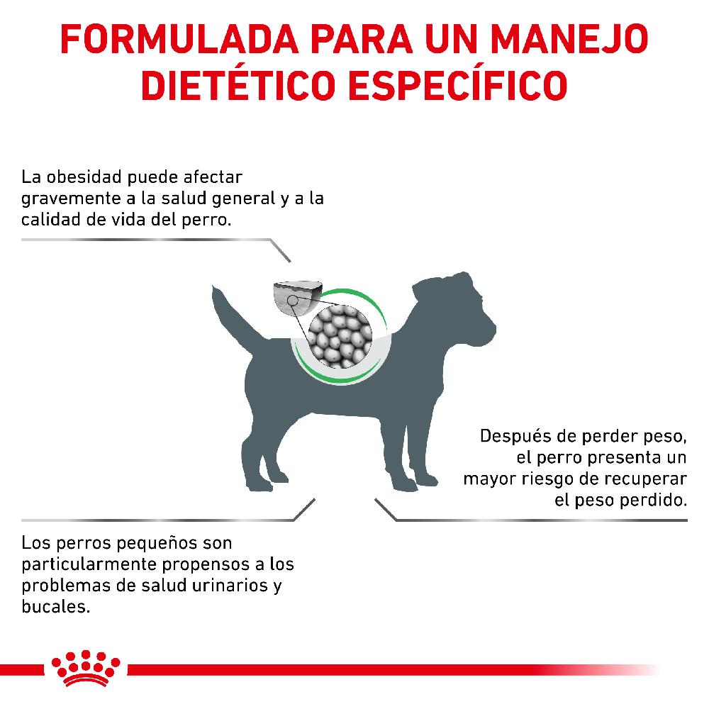 Miscota Royal Canin Cibo Secco per Cani Satiete Small Dog Latest stili
