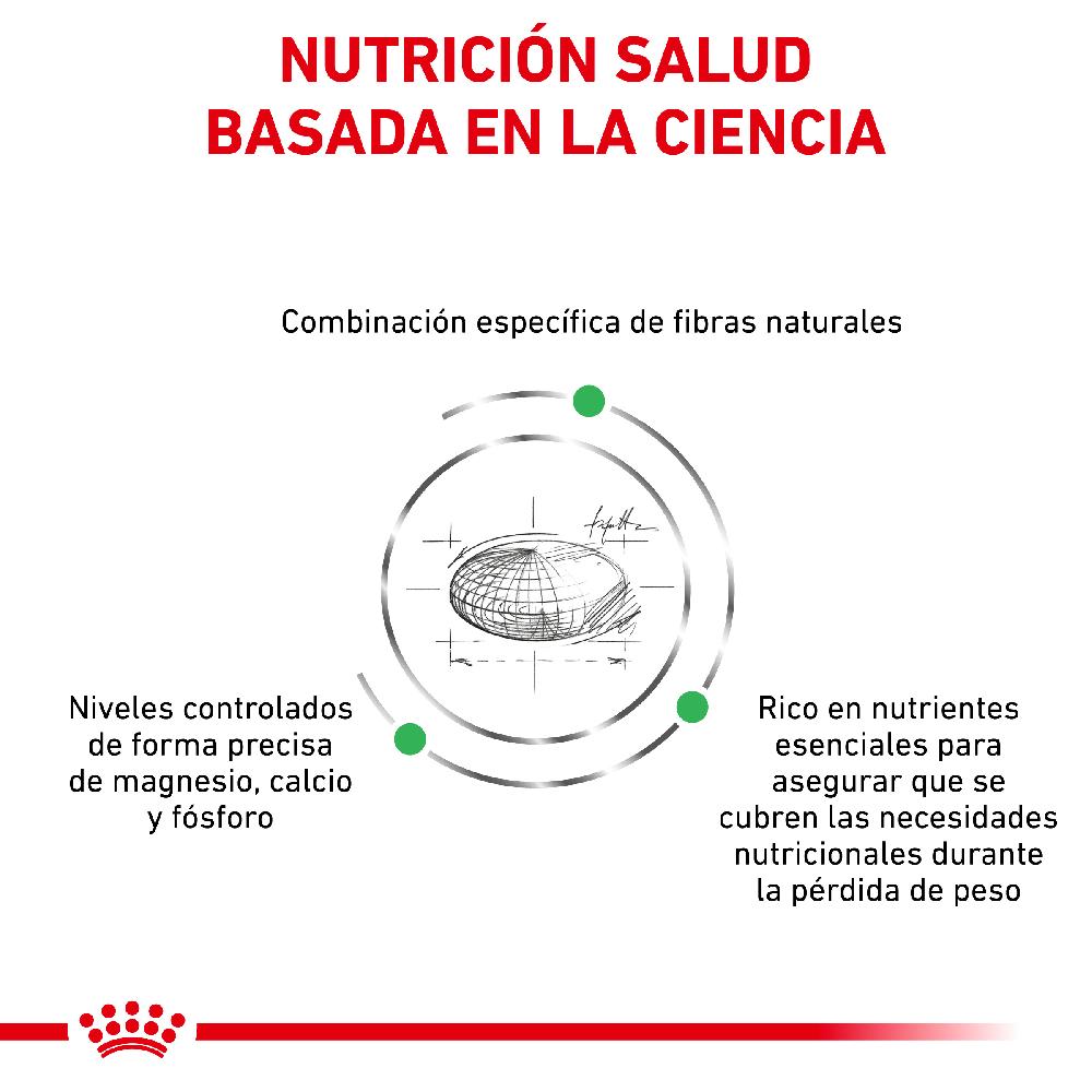 Miscota Royal Canin Cibo Secco per Cani Satiete Small Dog Latest stili