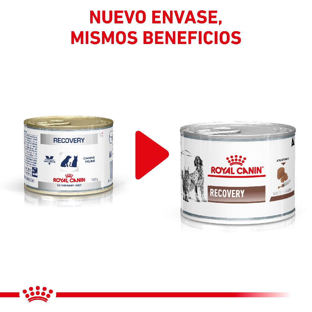 Miscota Pacco 12 Royal Canin Roya Canin Cibo Umido per Cani e Gatti Lattina Recovery Online Outlet